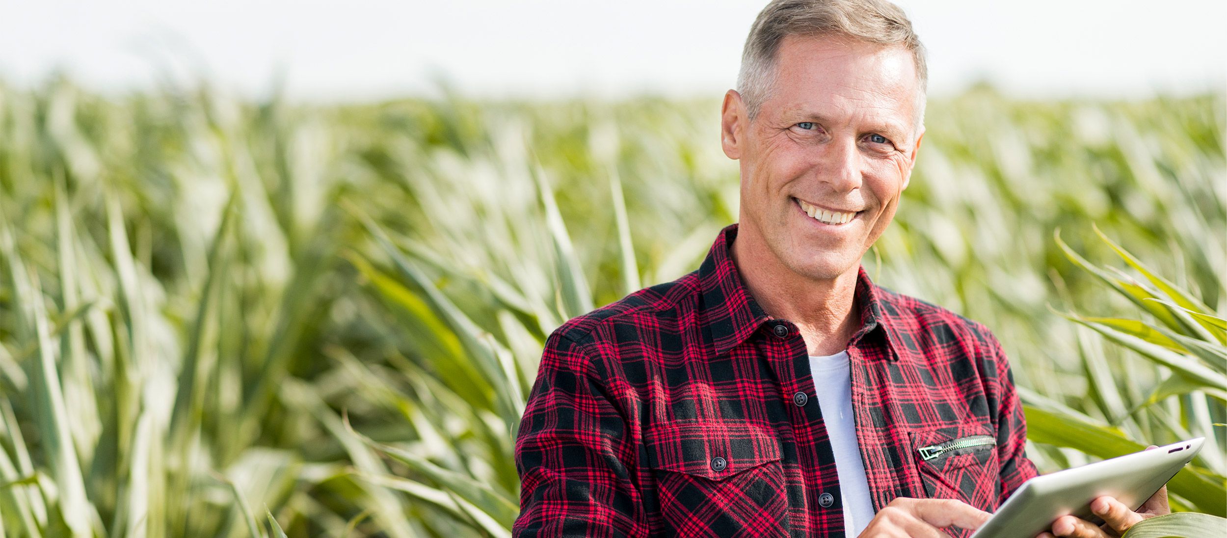 Landwirt mit Tablet im Maisfeld