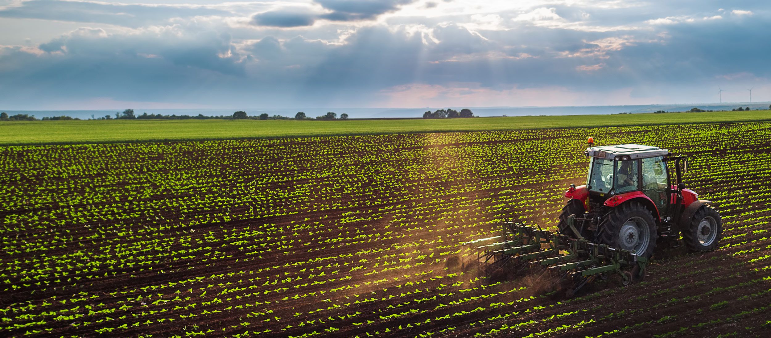 Traktor bearbeitet Feld