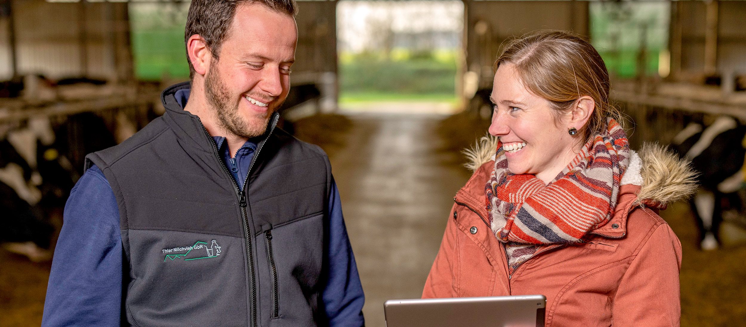 Landwirt mit Tablet wird im Kuhstall beraten